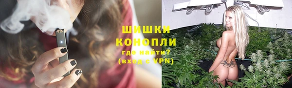 мдпв Богородск