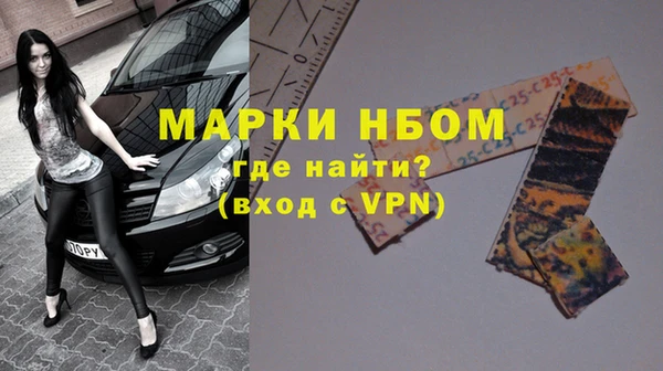 мдпв Богородск
