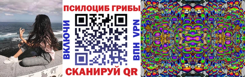 купить наркоту  Дмитриев  Псилоцибиновые грибы Magic Shrooms 